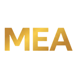 Meanings Cultural Insights Platform startup logo on Aura++