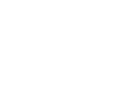 QuantLedger startup logo on Aura++