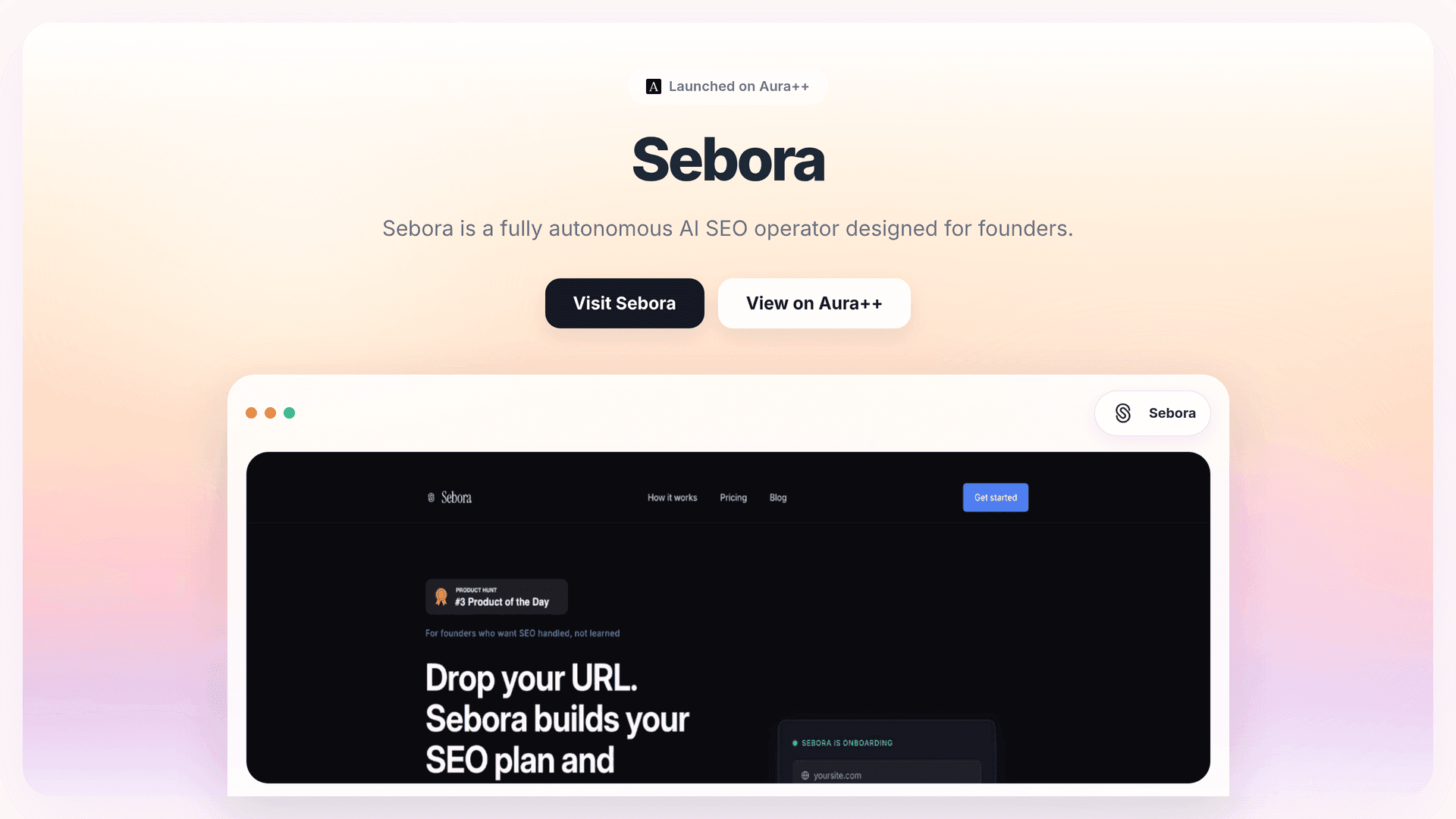 Sebora launch story featured image on Aura++