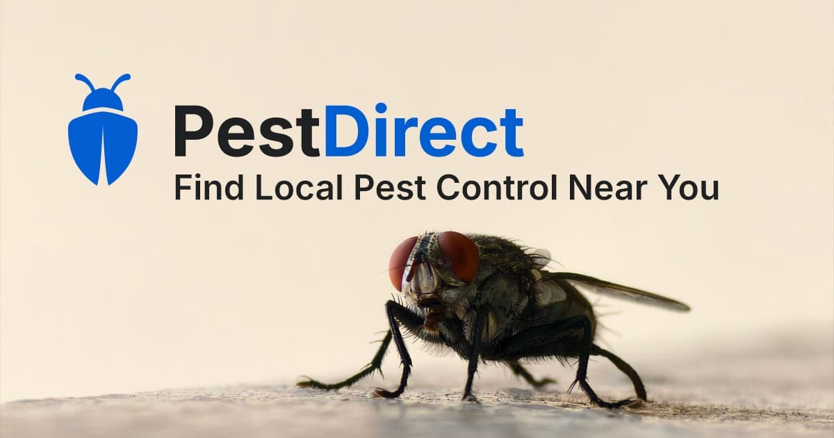 Pest Control Company Comparison Platform product preview for startup listing on Aura++