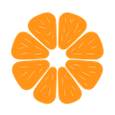 xpomelo startup logo on Aura++