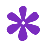 Bloom startup logo on Aura++