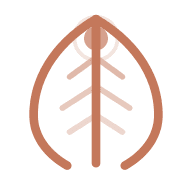Conscious Events Platform startup logo on Aura++