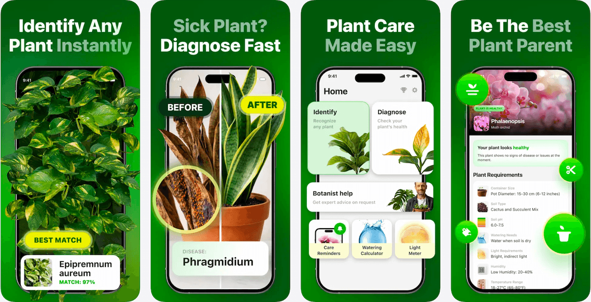 Botan App product preview for startup listing on Aura++