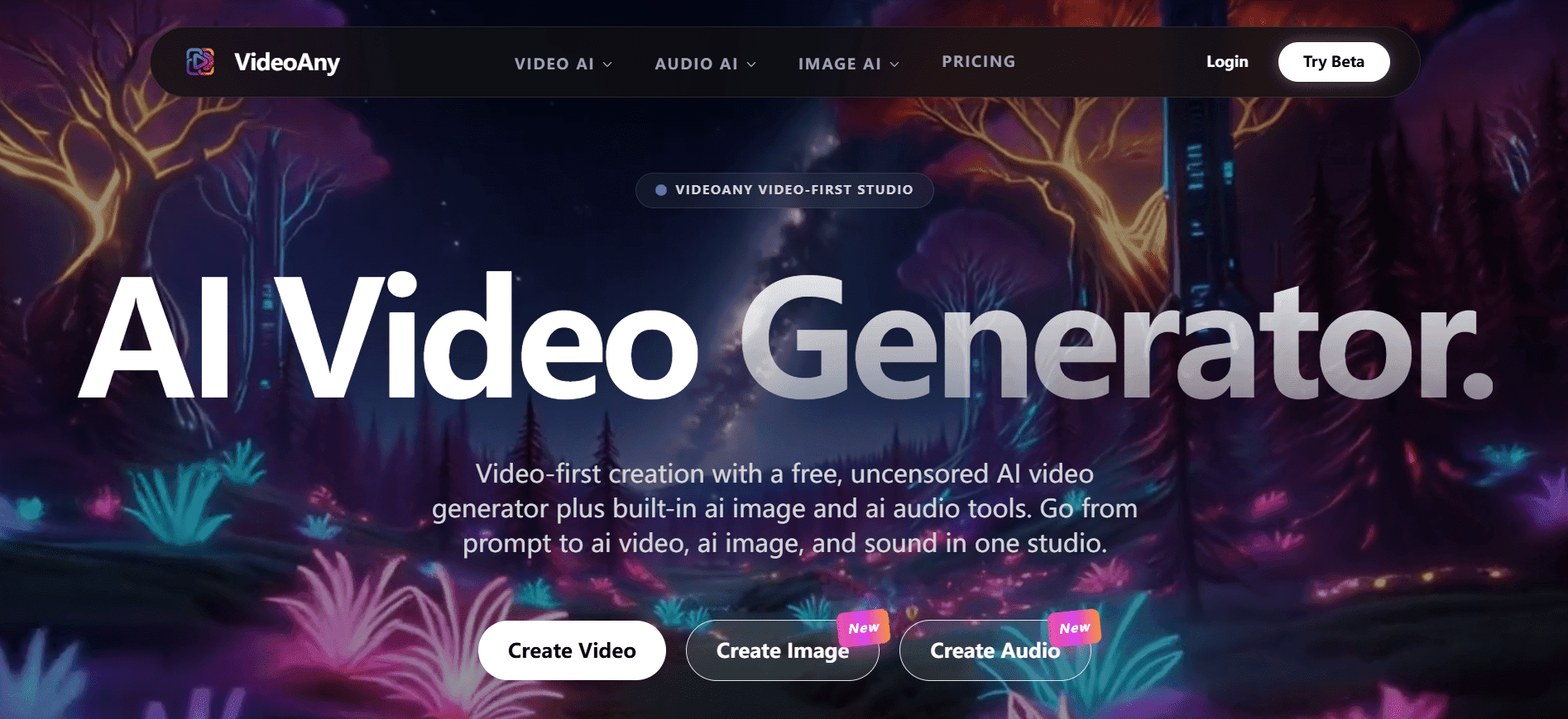 VideoAny product preview for startup listing on Aura++