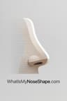 whatismynoseshape logo