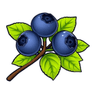 Blueberry Loom startup logo