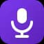 Voice to post logo