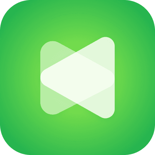 Anyvids AI Video & Image Platform logo
