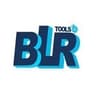 BLR Data Recovery Toolkit startup logo